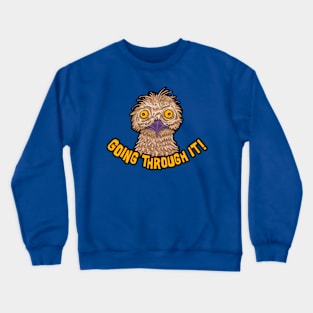 GOING THROUGH IT! Crewneck Sweatshirt